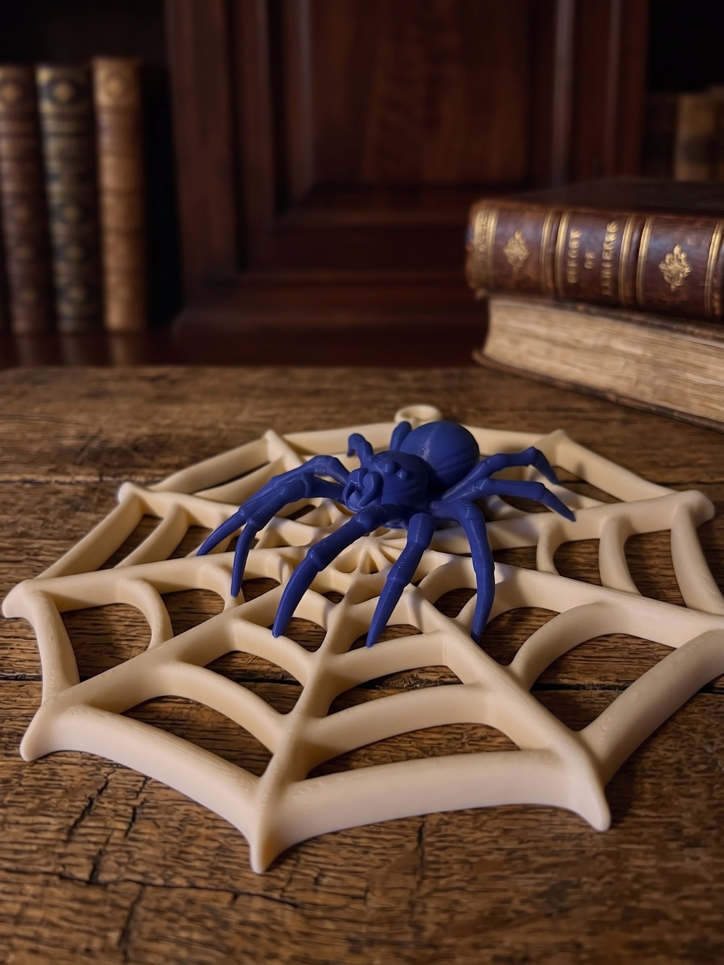 Custom-Colour Spider Web Wall Hanging – Halloween Decoration